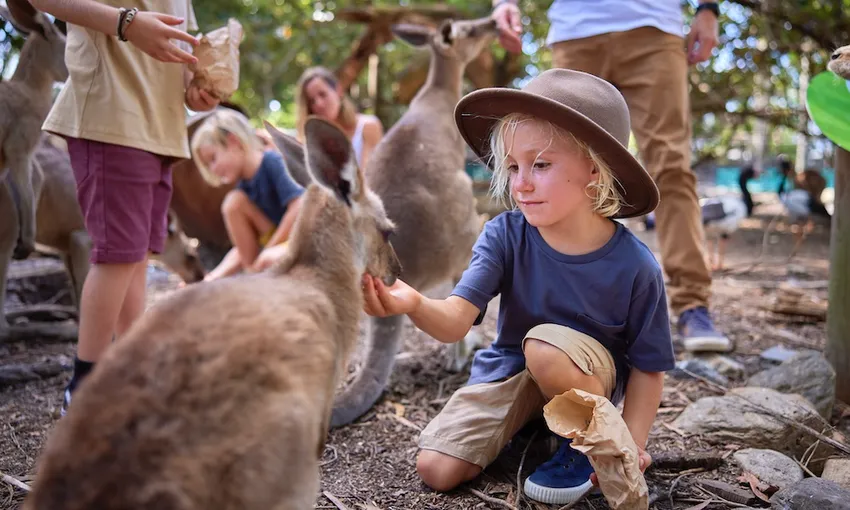 Wildlife Habitat Port Douglas Tickets - Book Now | Experience Oz 