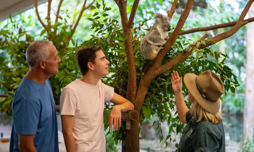Wildlife Habitat Port Douglas Tickets - Book Now | Experience Oz 