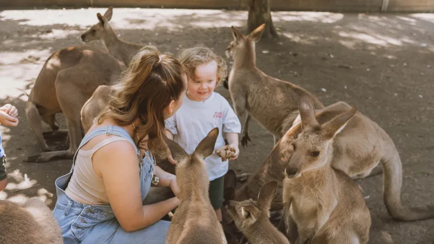 Wildlife Habitat Port Douglas Tickets - Book Now | Experience Oz 