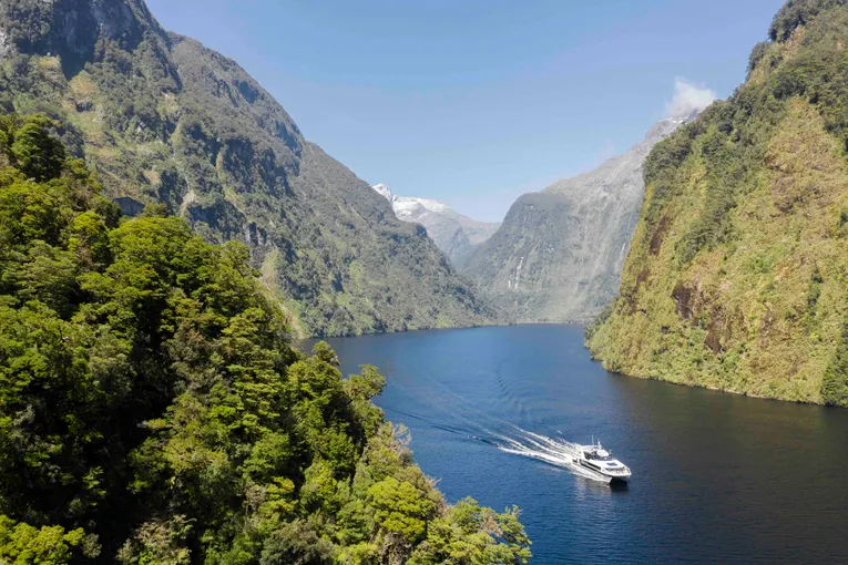 Doubtful Sound Wilderness Cruise New Zealand | Experience Oz