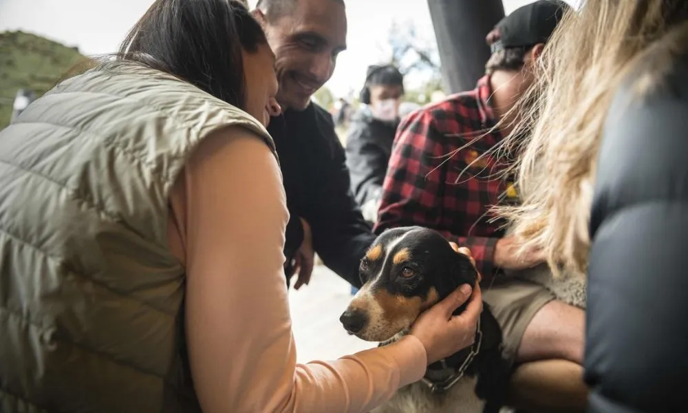 Walter Peak High Country Farm Tour New Zealand | Experience Oz-5