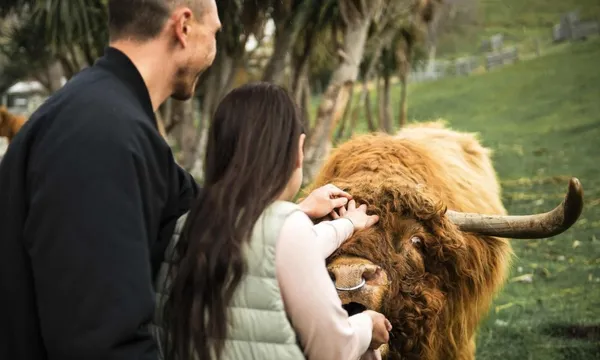 TSS Earnslaw Cruise and Walter Peak Farm Tour