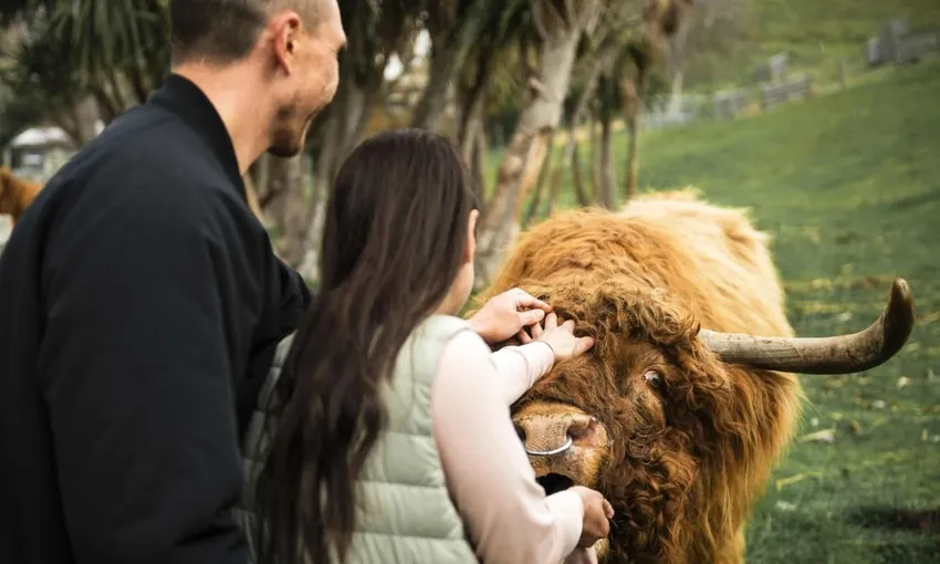 Walter Peak High Country Farm Tour New Zealand | Experience Oz