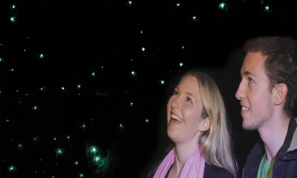 Natural Bridge Glow Worm Night Tour