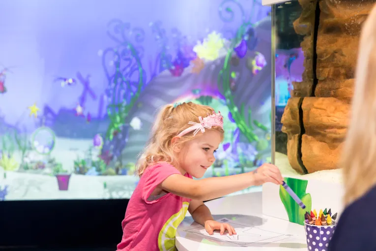 Kelly Tarlton's SEA LIFE Aquarium - Buy Tickets