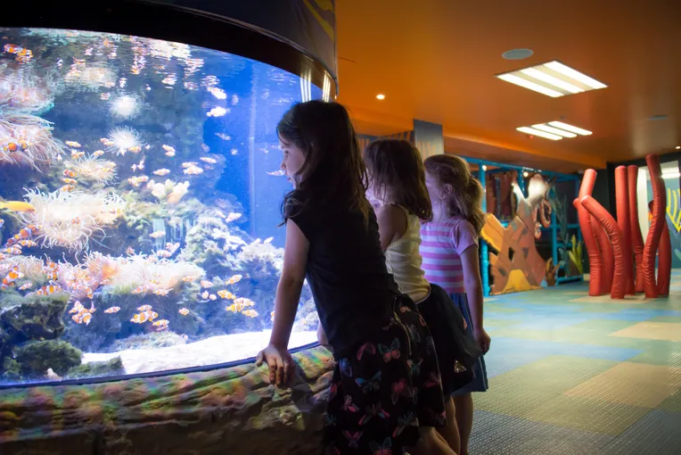 Kelly Tarlton's SEA LIFE Aquarium - Buy Tickets