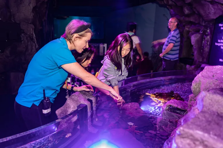 Kelly Tarlton's SEA LIFE Aquarium - Buy Tickets