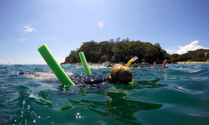 Manly Snorkel, Walk and Talk Tour - Book Now | Experience Oz