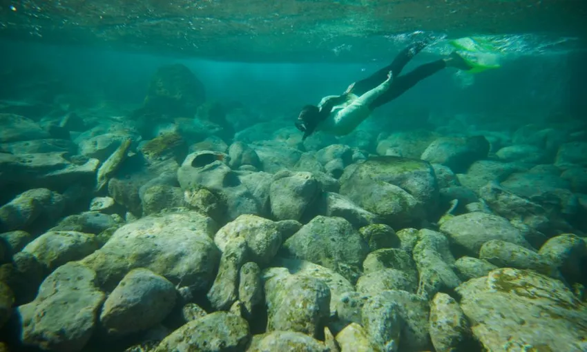 Manly Snorkel, Walk and Talk Tour - Book Now | Experience Oz