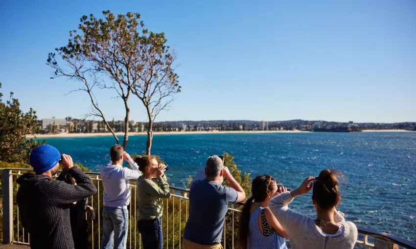 Manly Snorkel, Walk and Talk Tour - Book Now | Experience Oz