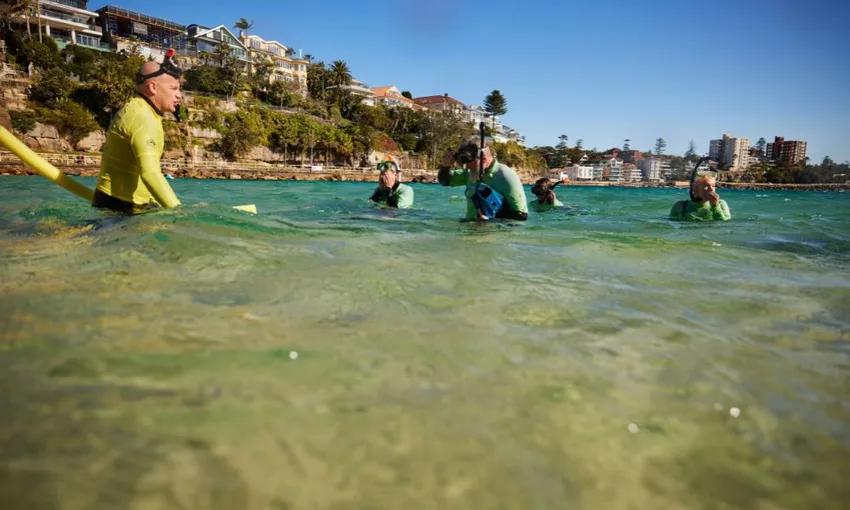Manly Snorkel, Walk and Talk Tour - Book Now | Experience Oz