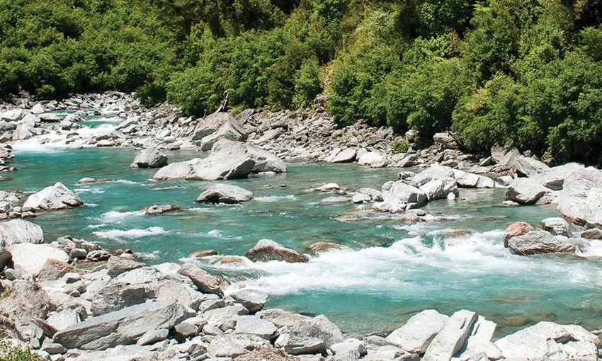 Queenstown to Fox Glacier Day Tour | Experience Oz + NZ