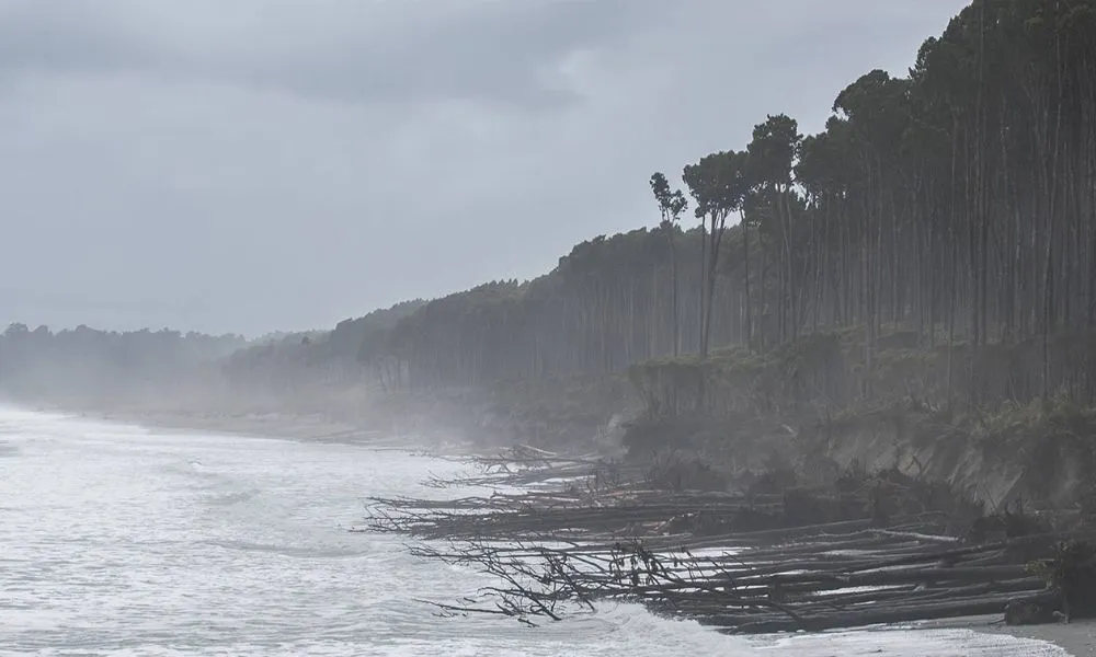 Queenstown to Fox Glacier Day Tour | Experience Oz + NZ-4