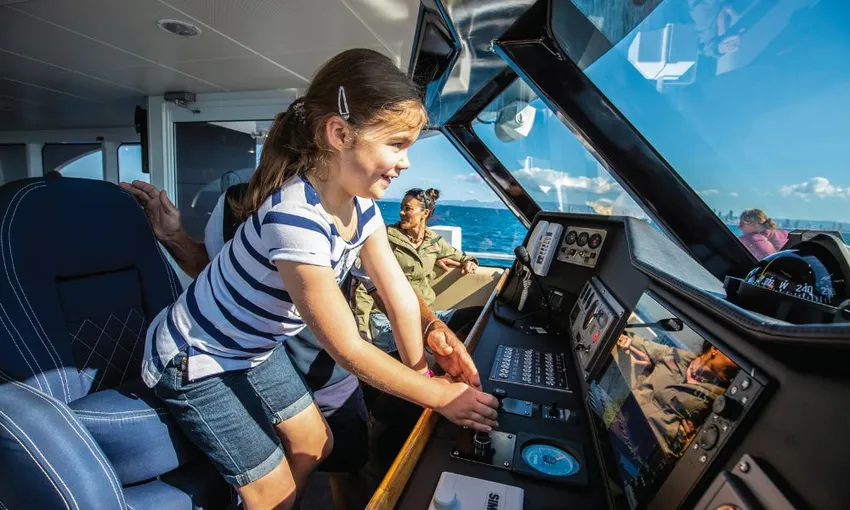 Gold Coast Whale Watching Cruise - Book Now | Experience Oz