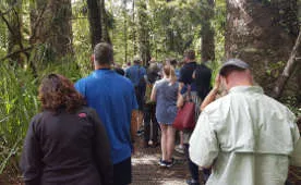 Puketi Bay of Islands New Zealand Night Rainforest Walk | ExOz + NZ