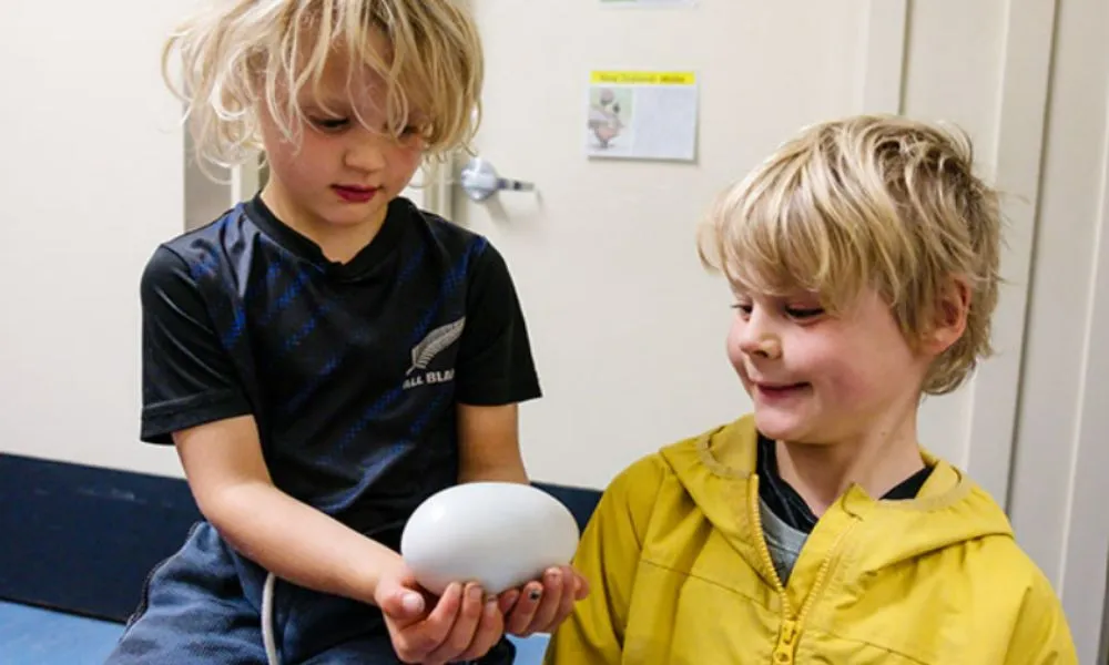 West Coast Wildlife Centre New Zealand - Buy Tickets | Experience Oz-2