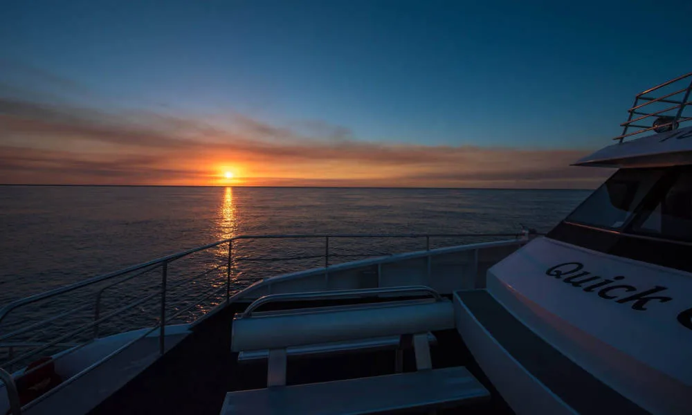 Hervey Bay Afternoon Whale Watching Cruises | Experience Oz-4