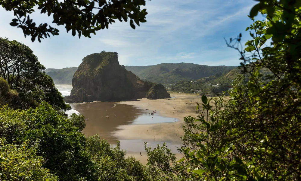 Auckland Maori Culture Day Tour - Book Now | Experience Oz-6