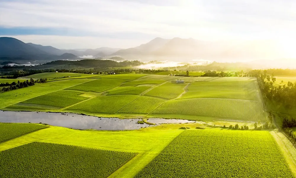 Yarra Valley Grazing Tour - Full Day | Experience Oz-4