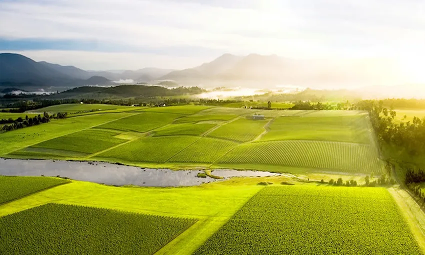Yarra Valley Grazing Tour - Full Day | Experience Oz