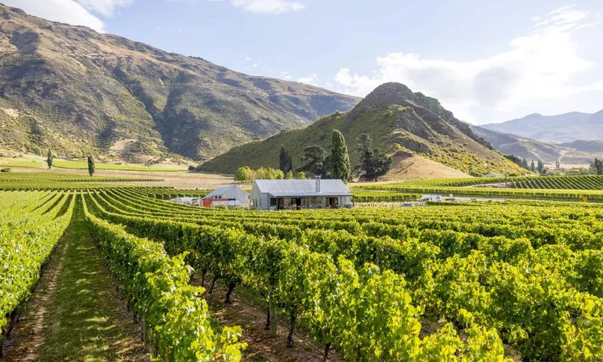 Queenstown Winery Tour | Experience Oz