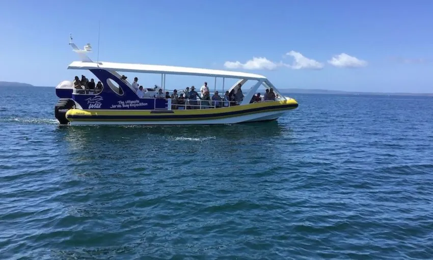 Jervis Bay Whale Watching Tours - Book Now | Experience Oz