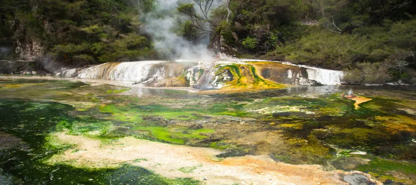 Waimangu Volcanic Valley Rotorua Tickets | Experience Oz