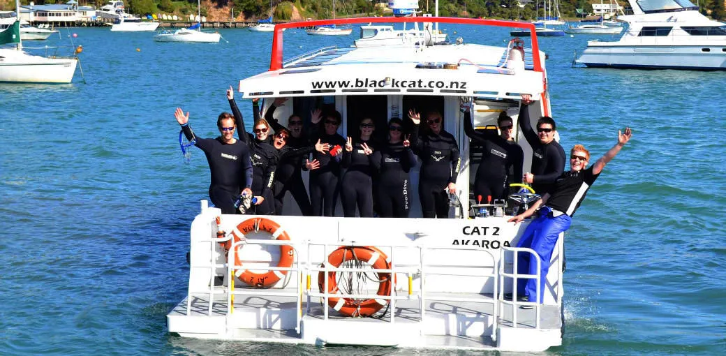 Akaroa Dolphin Swim Experience - Book Online | Experience Oz-5