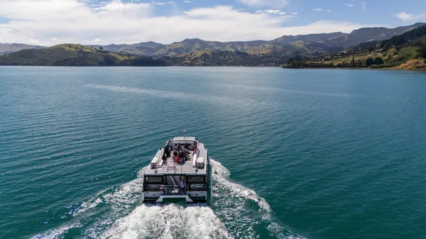 Akaroa Harbour Nature Cruise