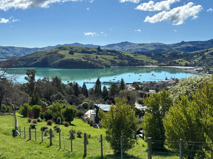 Akaroa Harbour Nature Cruise  - Book Online | Experience Oz