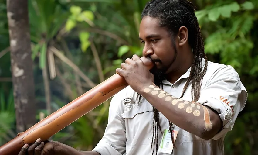 Daintree Rainforest Full Day Tour with Wildlife Cruise | Experience Oz
