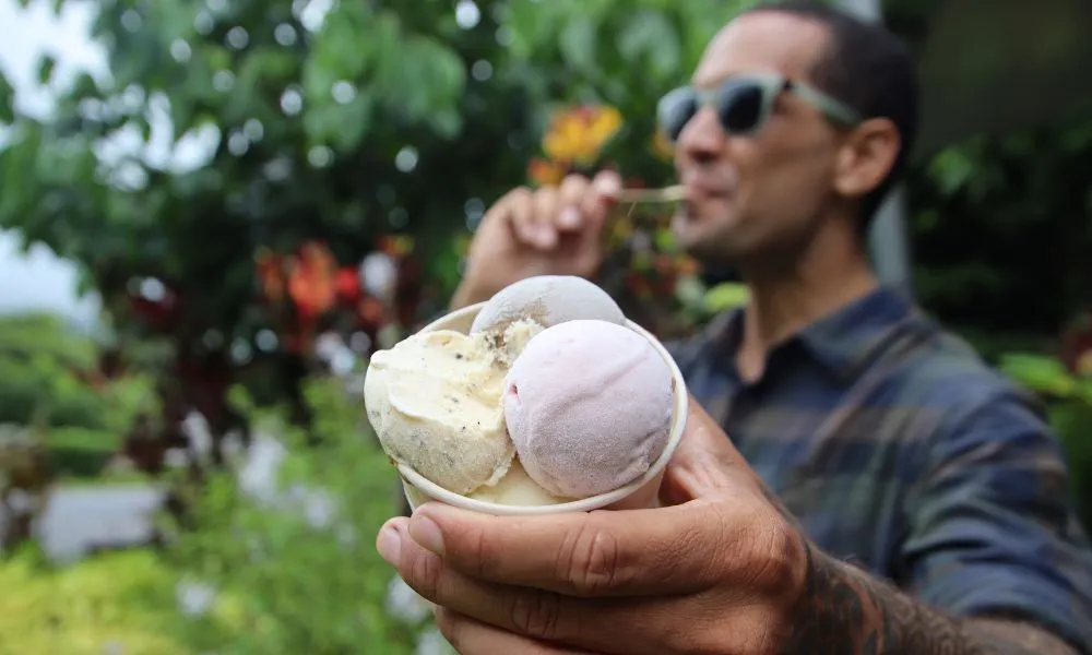 Daintree Rainforest Full Day Tour with Wildlife Cruise | Experience Oz-8