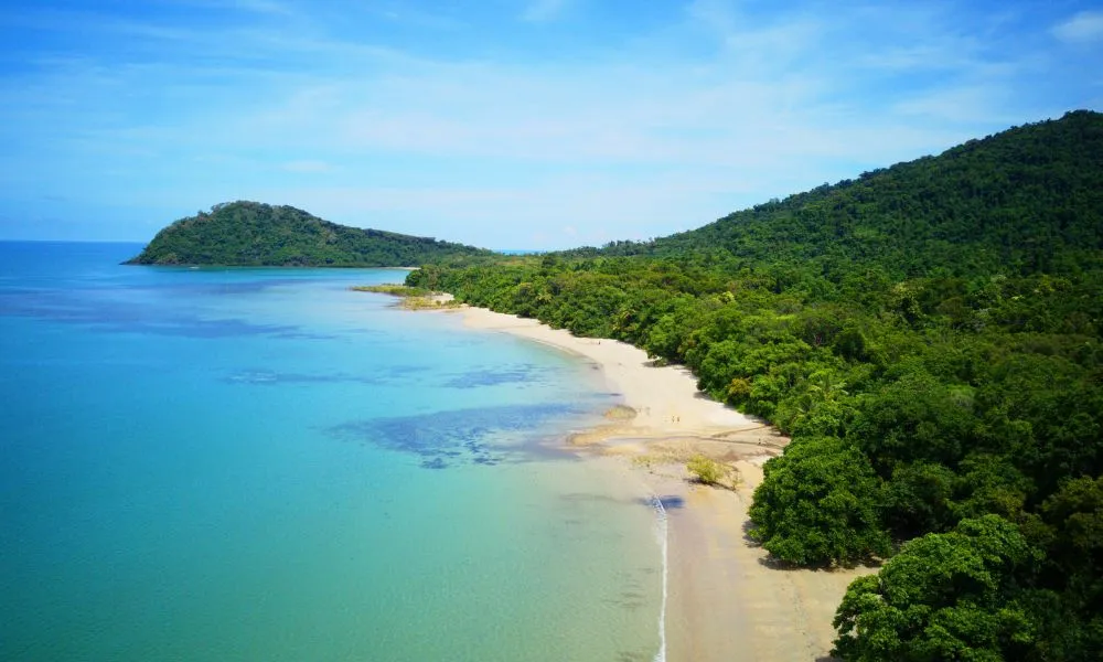 Daintree Rainforest Full Day Tour with Wildlife Cruise | Experience Oz-2