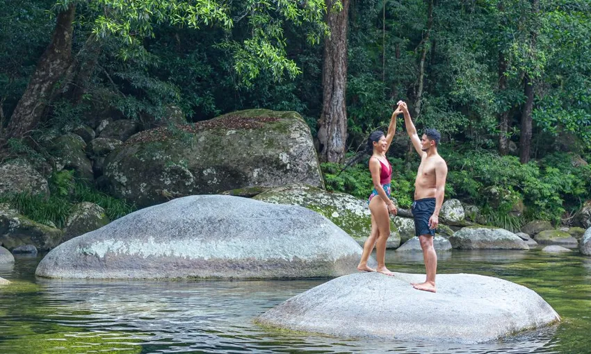 Daintree Rainforest Full Day Tour with Wildlife Cruise | Experience Oz
