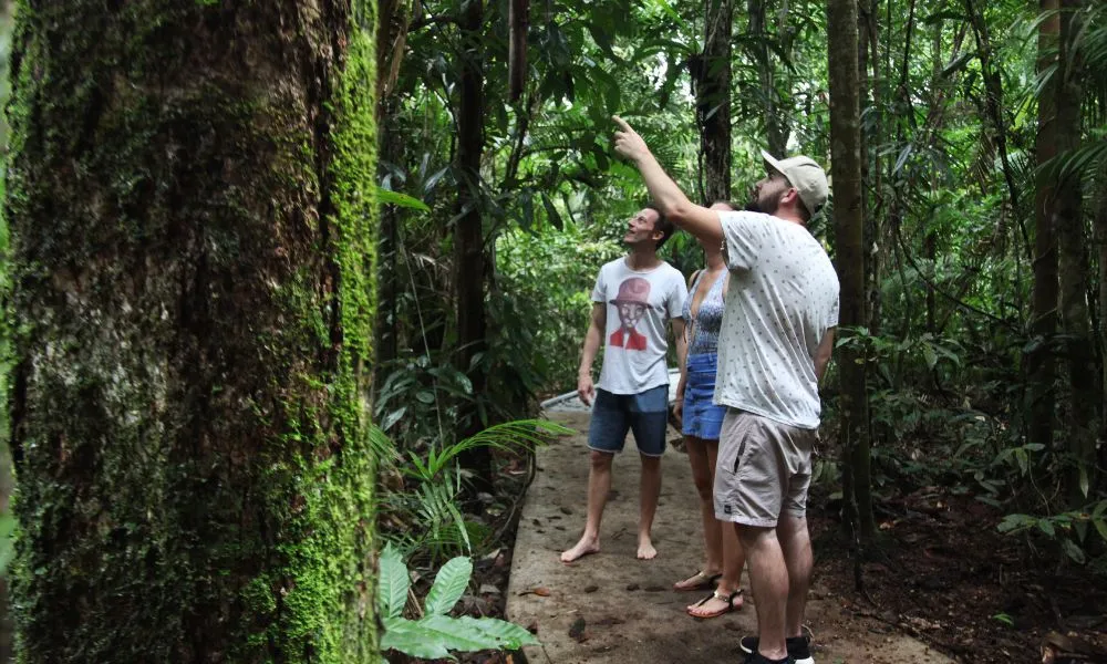 Daintree Rainforest Full Day Tour with Wildlife Cruise | Experience Oz-3