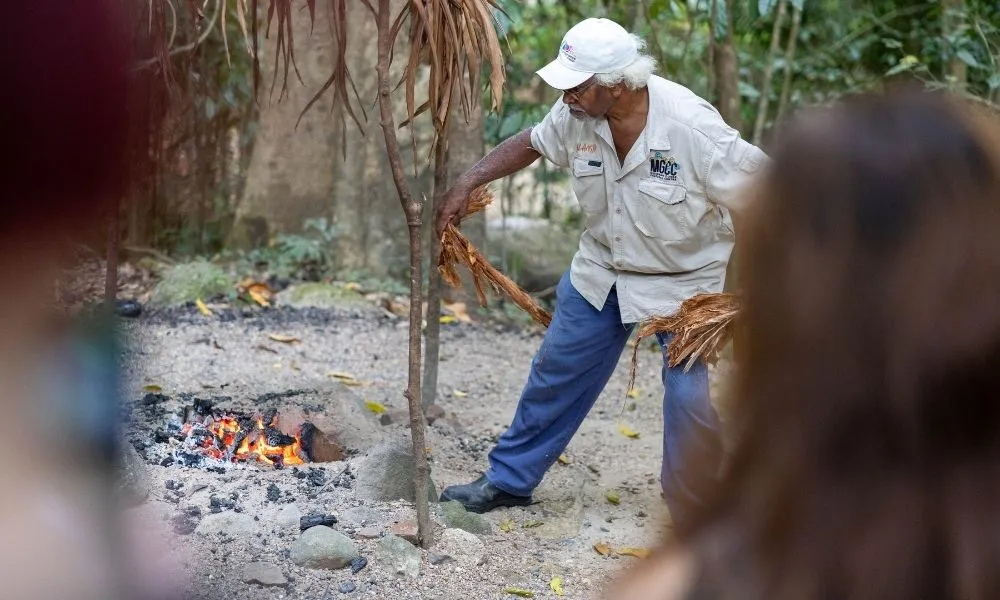 Daintree Rainforest Full Day Tour with Wildlife Cruise | Experience Oz-5