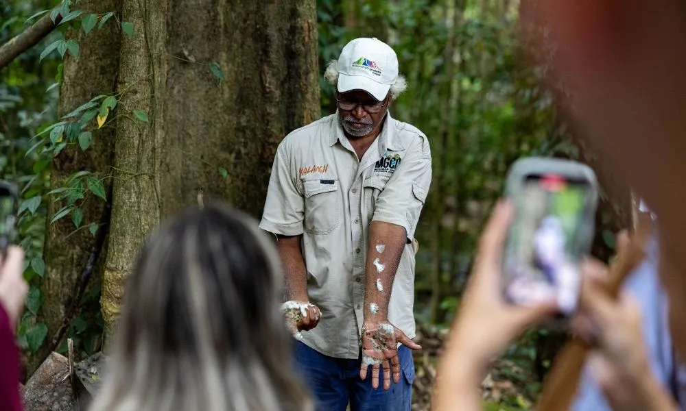 Daintree Rainforest Full Day Tour with Wildlife Cruise | Experience Oz-7