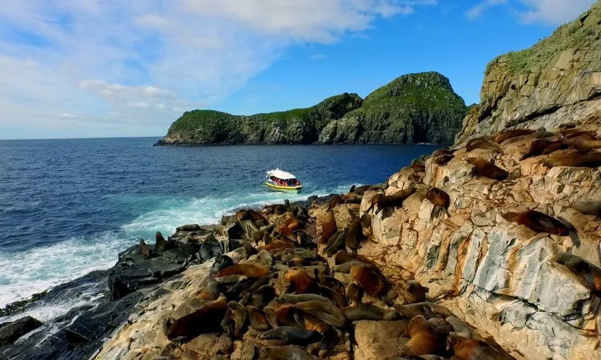 Bruny Island Wilderness Cruise | Experience Oz