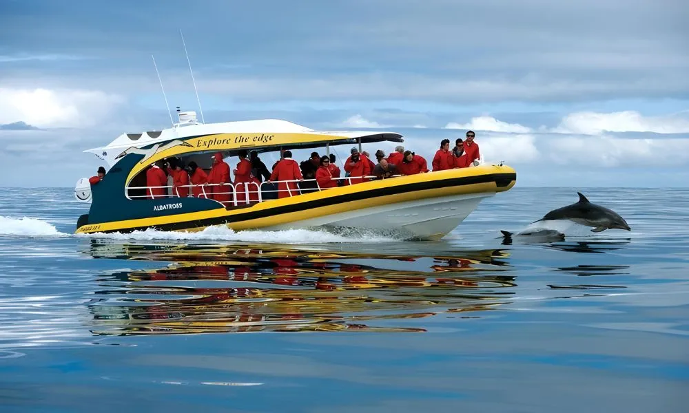 Bruny Island Wilderness Cruise | Experience Oz-4