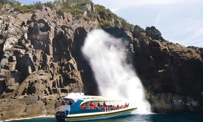 Bruny Island Wilderness Cruise | Experience Oz