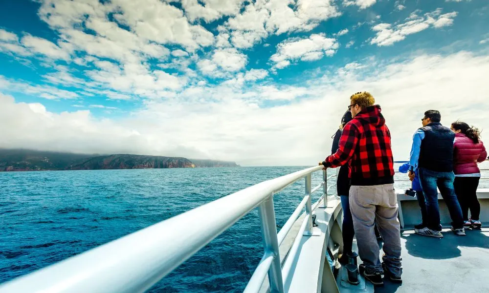 Bruny Island Eco Cruise Day Tour from Hobart | Experience Oz-2