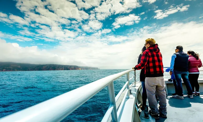 Bruny Island Eco Cruise Day Tour from Hobart | Experience Oz