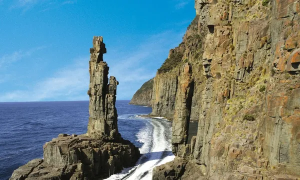 Bruny Island Wilderness Cruise and Bus Transfer from Hobart