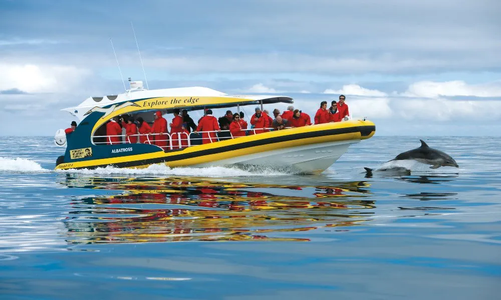 Bruny Island Eco Cruise Day Tour from Hobart | Experience Oz-8