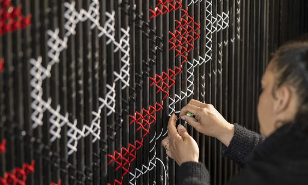 Te Puia Rotorua Daytime Experience | Experience Oz-10