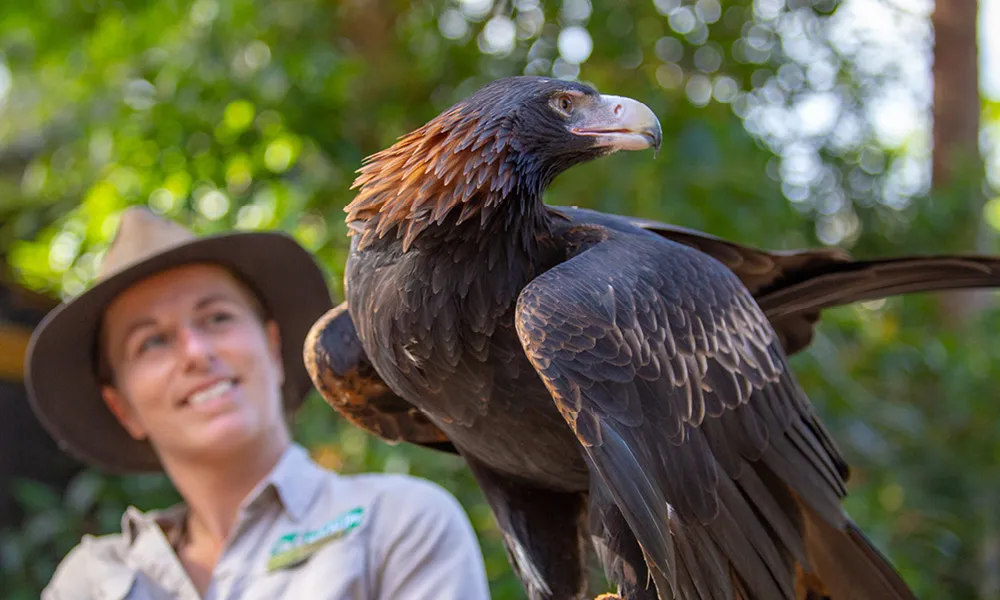 Currumbin Wildlife Sanctuary Tickets | Experience Oz-2