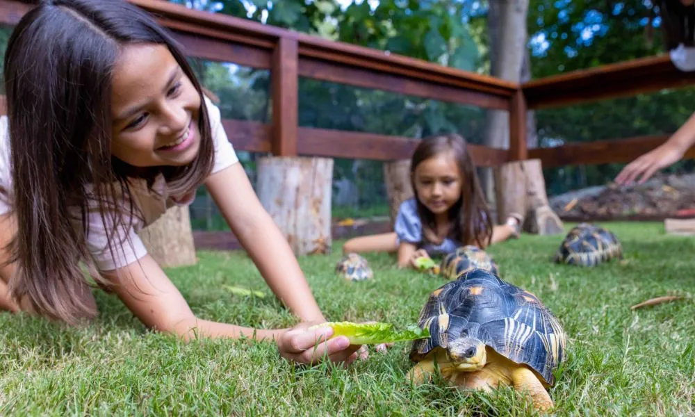 Currumbin Wildlife Sanctuary Tickets | Experience Oz-6