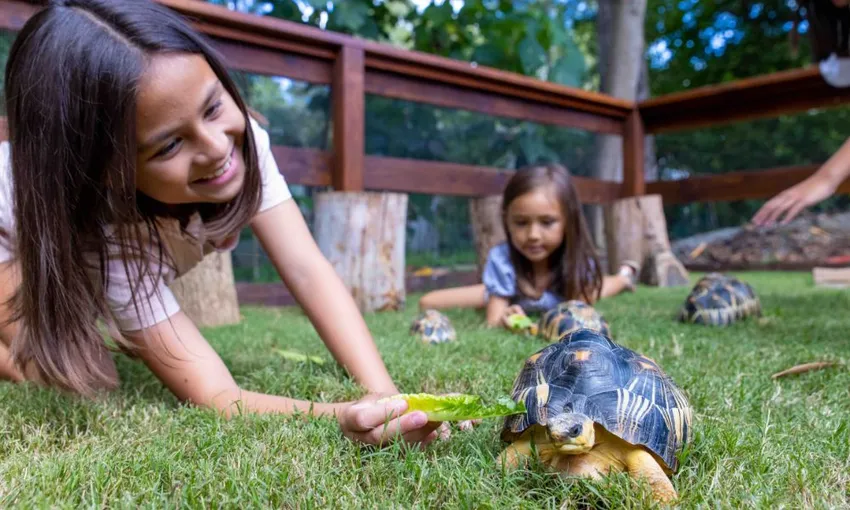 Currumbin Wildlife Sanctuary Tickets | Experience Oz