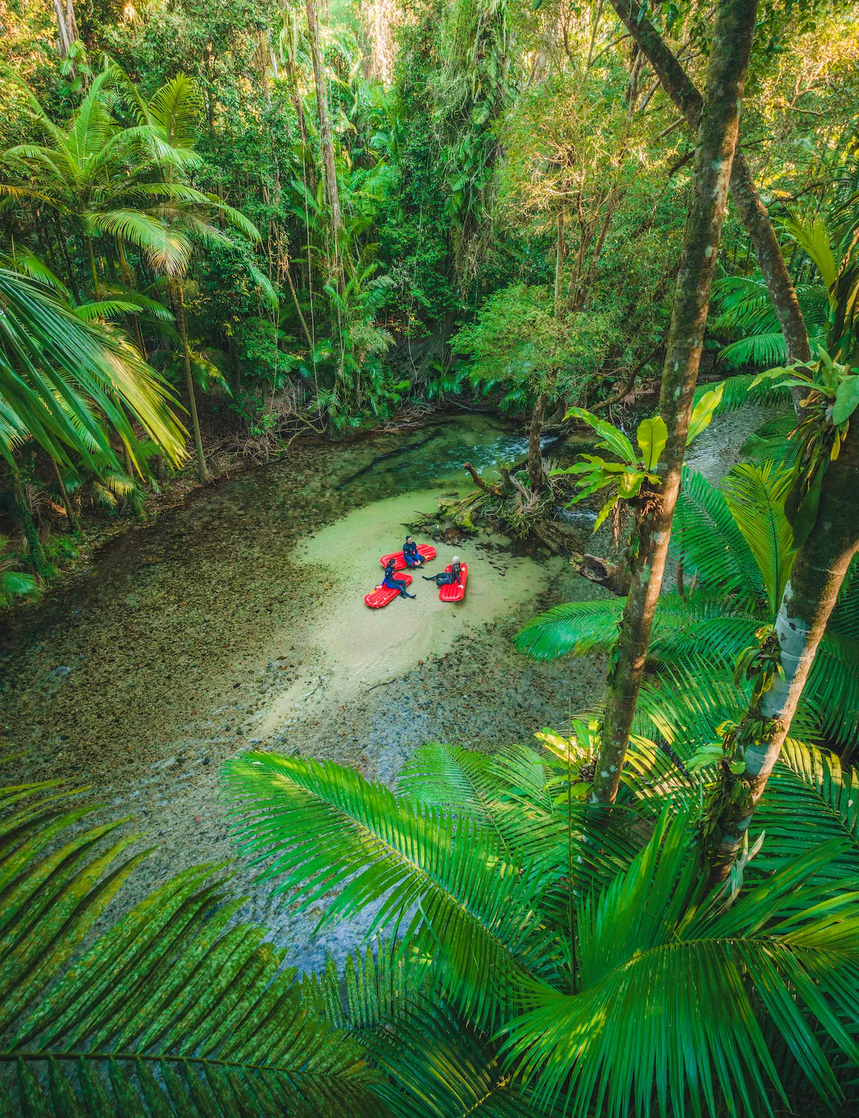 Port Douglas Rainforest River Drift Experience Tour | Experience Oz-2