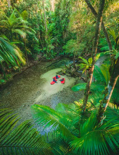 Port Douglas Rainforest River Drift Experience Tour | Experience Oz